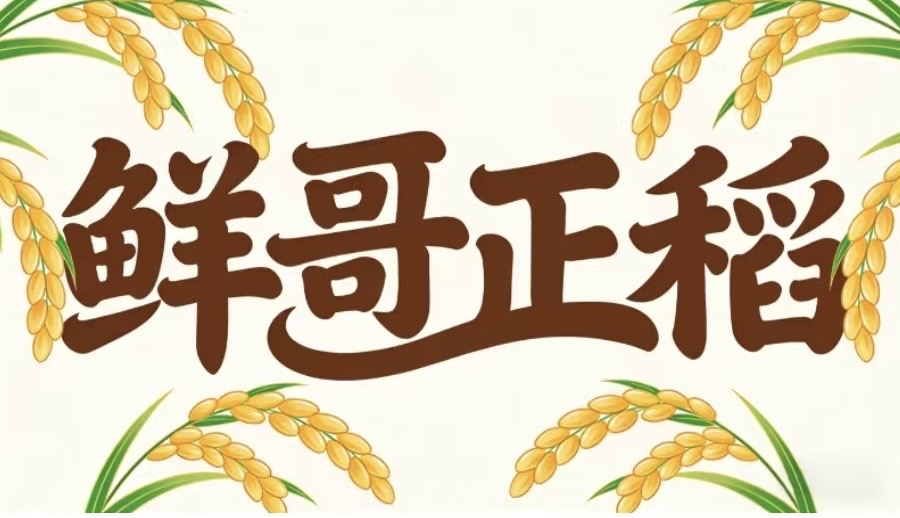 鲜哥正稻