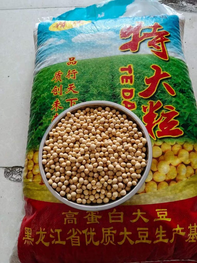 黄豆大宗杂粮谷物出口