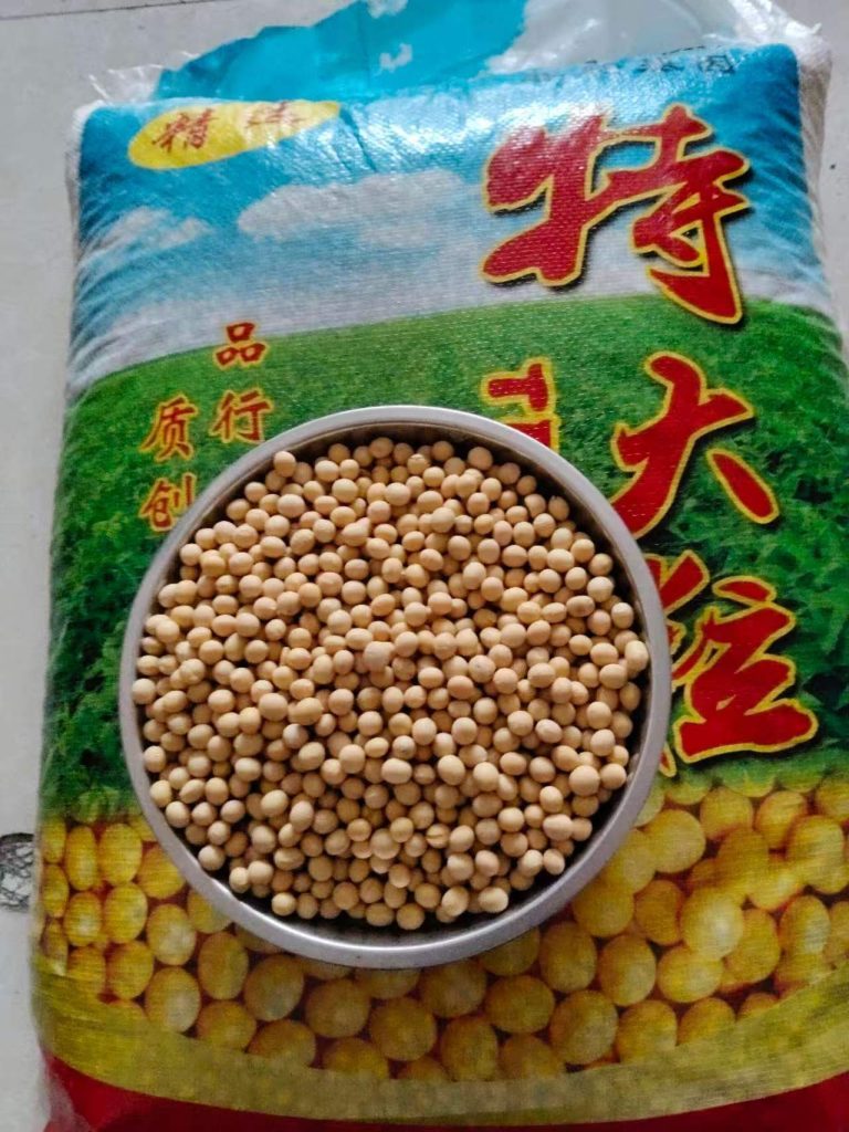 黄豆大宗杂粮谷物出口