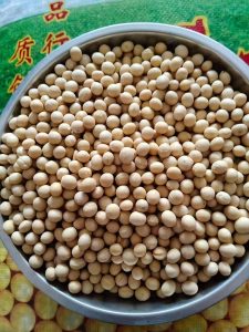 黄豆大宗杂粮谷物出口