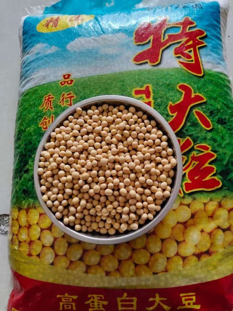 黄豆大宗杂粮谷物出口