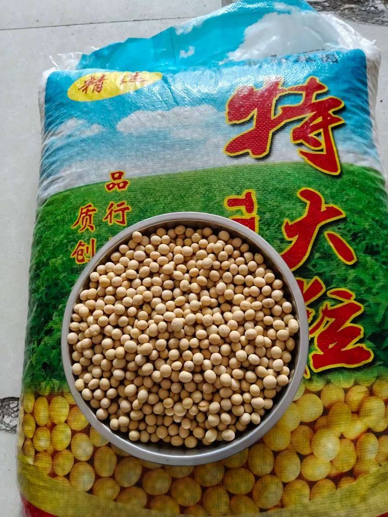 黄豆大宗杂粮谷物出口