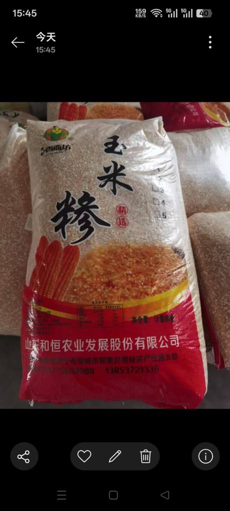 玉米渣/玉米惨面向进口商的大宗粮食