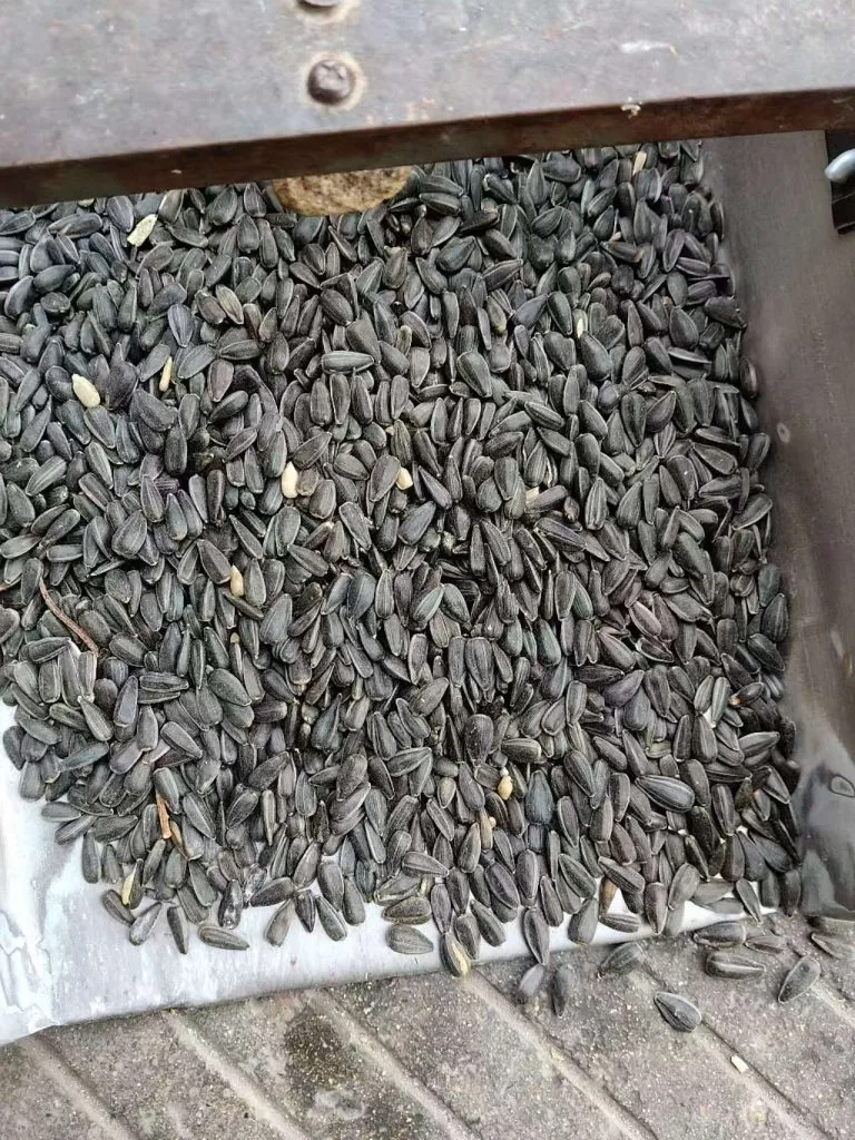 鸟类饲料专用去壳葵花籽 | 大宗出口批发