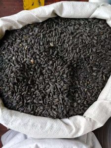 鸟类饲料专用去壳葵花籽 | 大宗出口批发