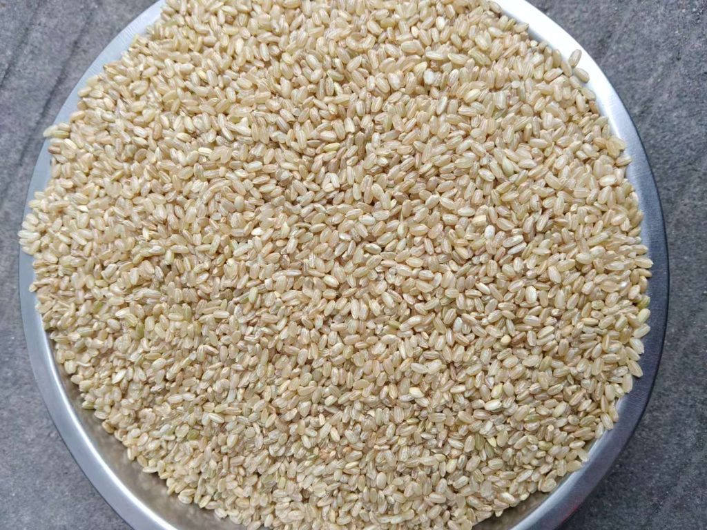 食用糙米外贸出口全球