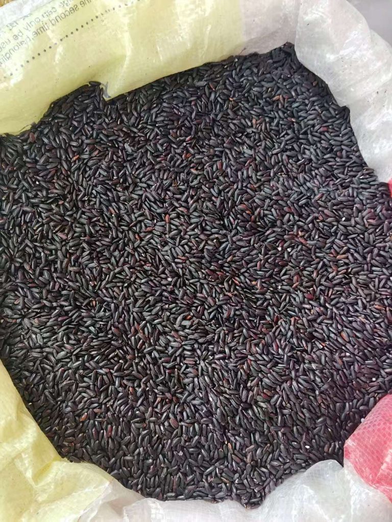 天然黑米 | 黑色杂粮谷物 全球大宗外贸出口原料
