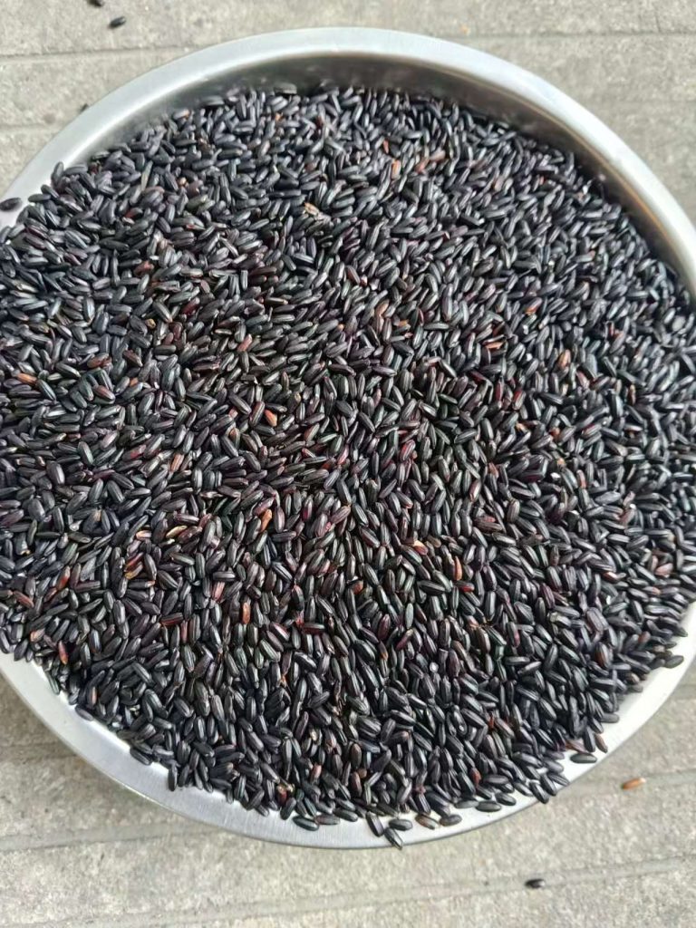 天然黑米 | 黑色杂粮谷物 全球大宗外贸出口原料