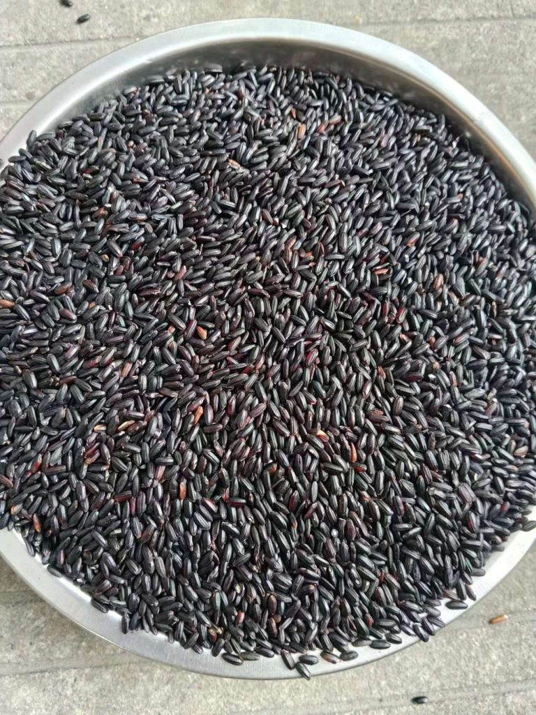 天然黑米 | 黑色杂粮谷物 全球大宗外贸出口原料
