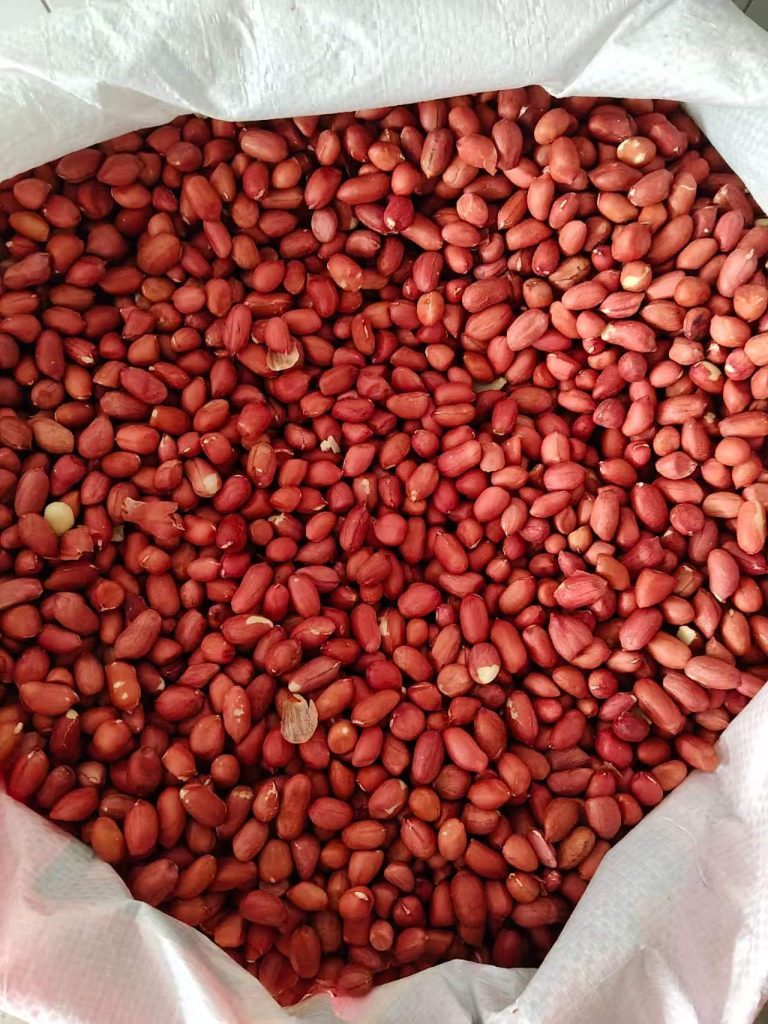 去壳红皮花生米 红衣花生仁 食用花生仁 FOB国际贸易大宗批发出口