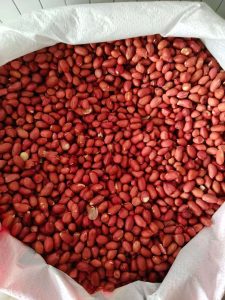 去壳红皮花生米 红衣花生仁 食用花生仁 FOB国际贸易大宗批发出口