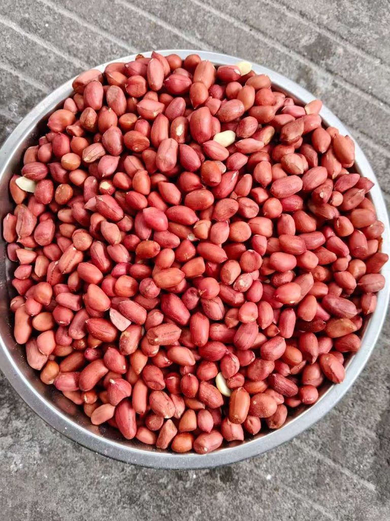 去壳红皮花生米 红衣花生仁 食用花生仁 FOB国际贸易大宗批发出口