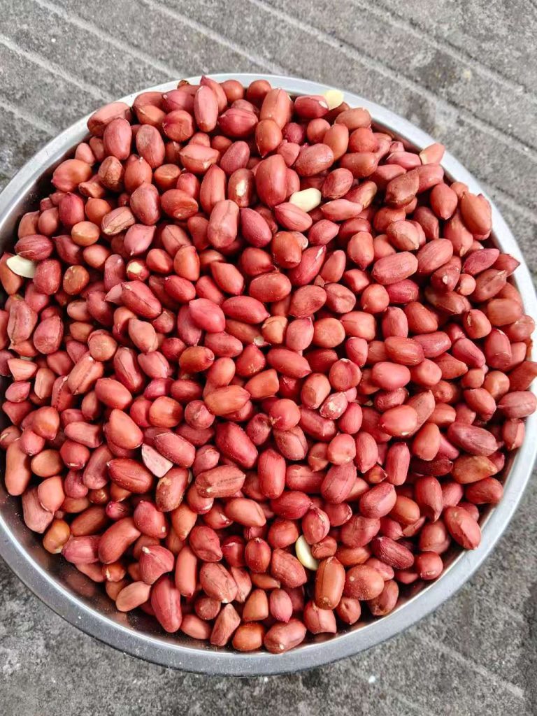 去壳红皮花生米 红衣花生仁 食用花生仁 FOB国际贸易大宗批发出口