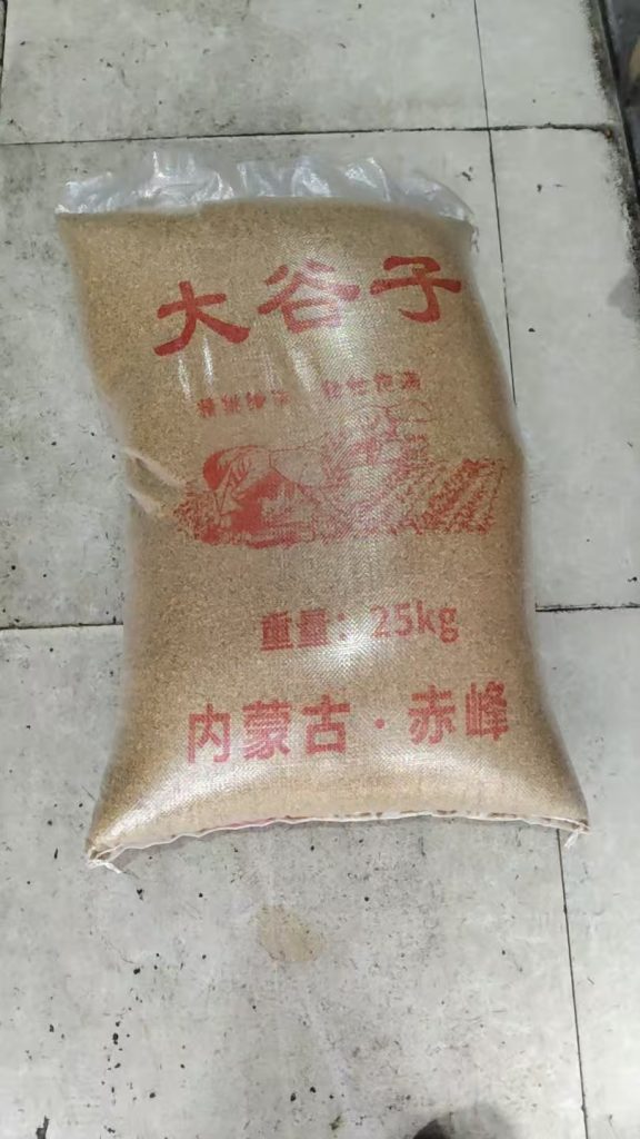 鸟用谷子饲料 外贸全球出口 FOB供货 25kg包装