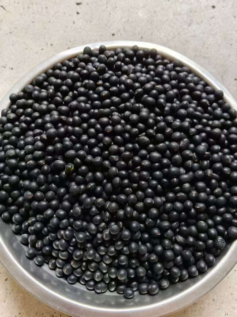 散装食用黑豆|杂粮源头供应商|出口 FOB 25KG袋装