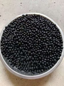 饲料级家禽谷物散装｜中国供应商 FOB 25KG袋装