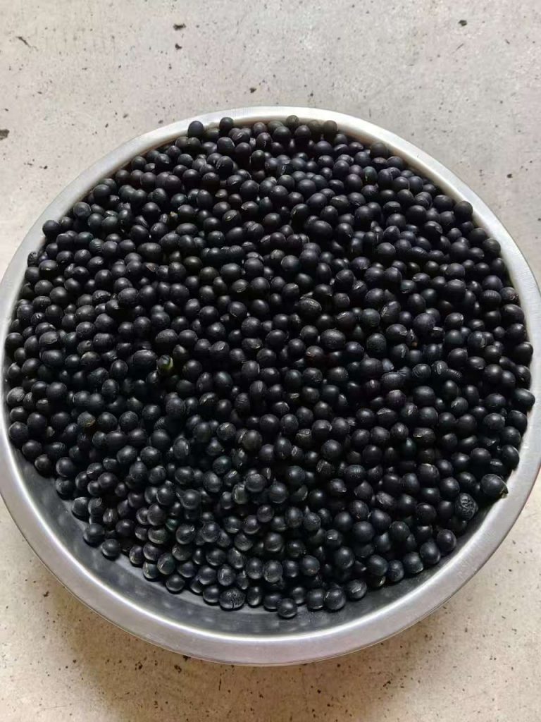散装食用黑豆|杂粮源头供应商|出口 FOB 25KG袋装