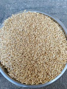 食用燕麦米 源头大宗供货 出口FOB 25kg袋装