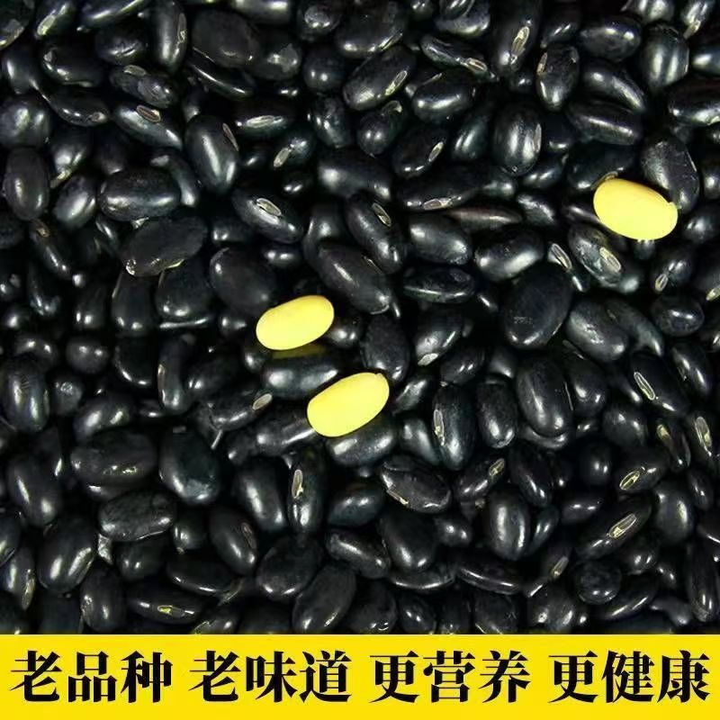 黄仁黑豆