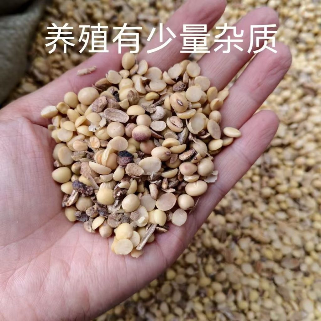 饲料黄豆 动物饲料级大豆 25kg大宗袋装出口