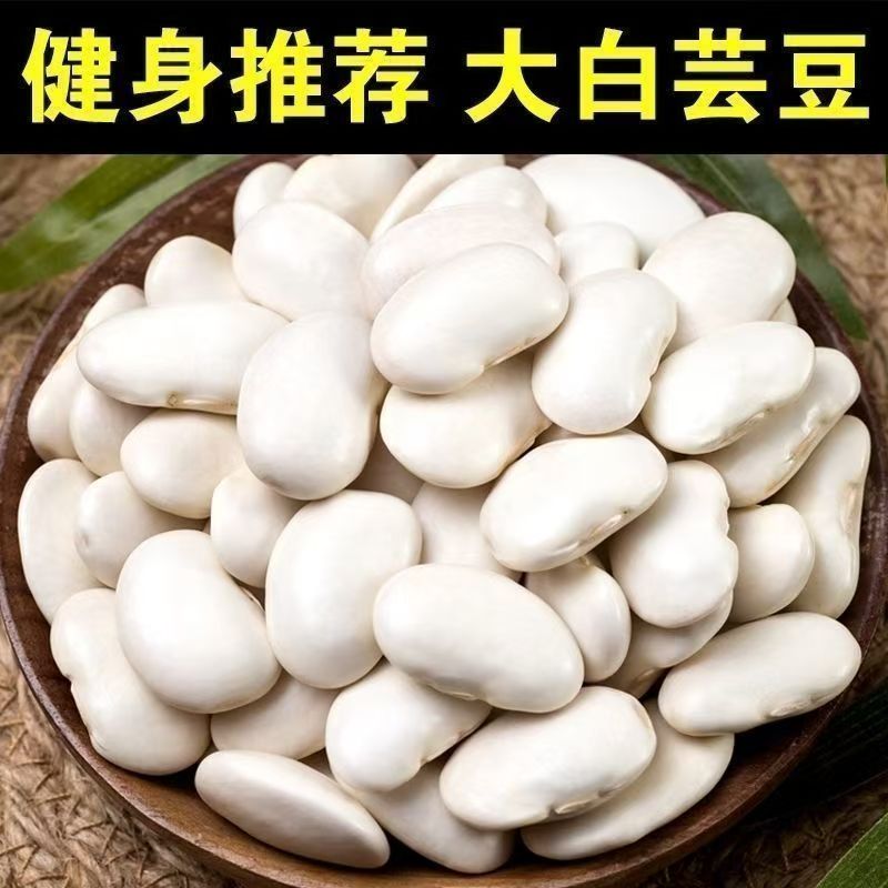 大颗粒白芸豆
