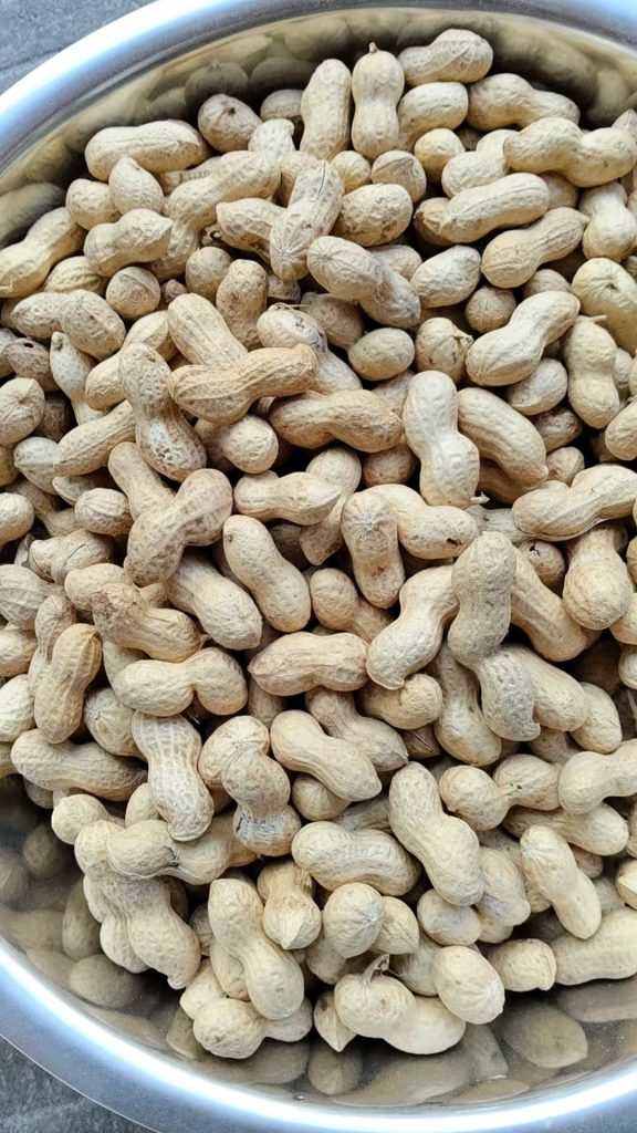 两粒白皮白沙鲁花花生（带米，食用级）