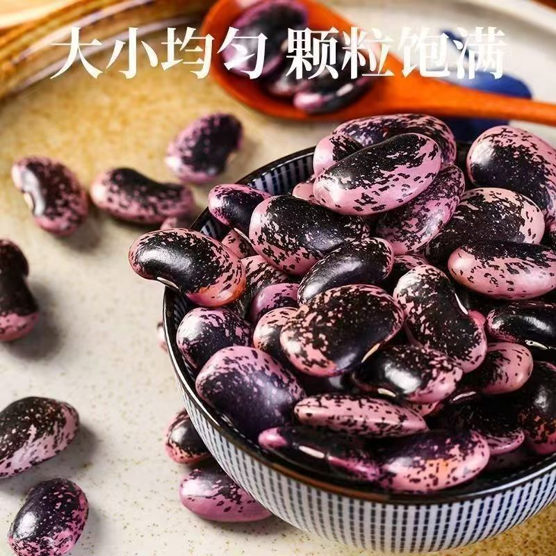 黑花芸豆 货源稳定 食用芸豆 批量出口 全球批发