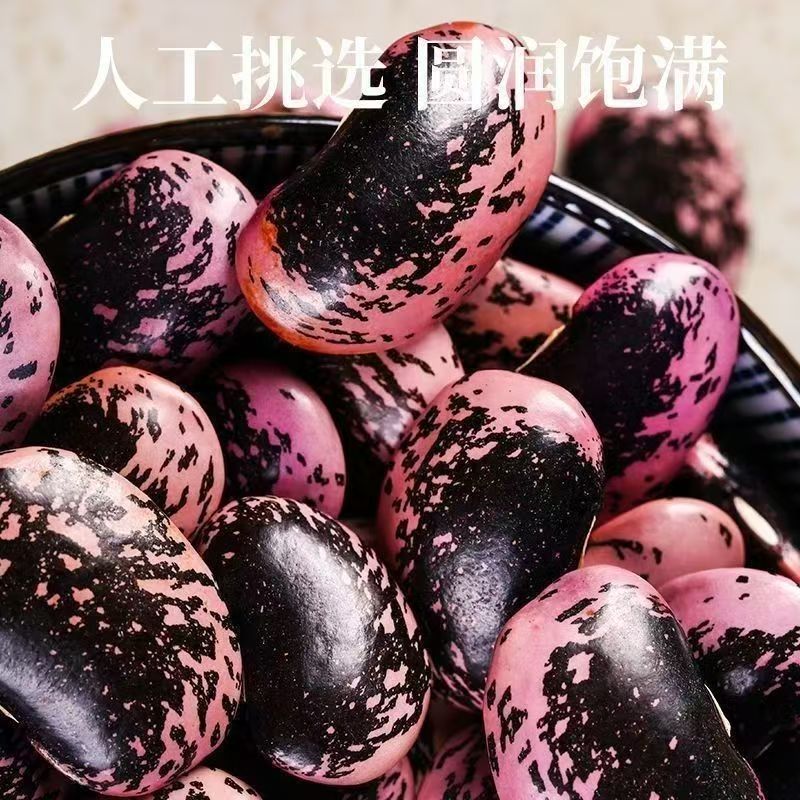 黑花芸豆 货源稳定 食用芸豆 批量出口 全球批发