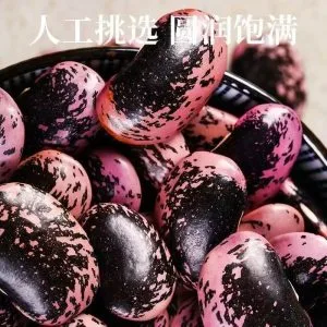 黑花芸豆 货源稳定 食用芸豆 批量出口 全球批发
